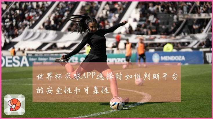 世界杯买球APP选择时如何判断平台的安全性和可靠性