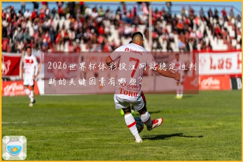 2026世界杯体彩投注网站稳定性判断的关键因素有哪些？