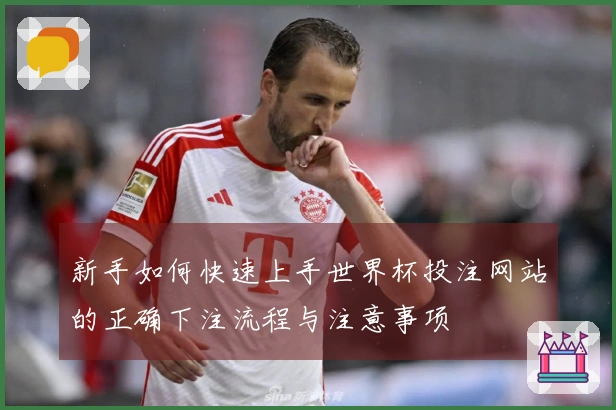 新手如何快速上手世界杯投注网站的正确下注流程与注意事项