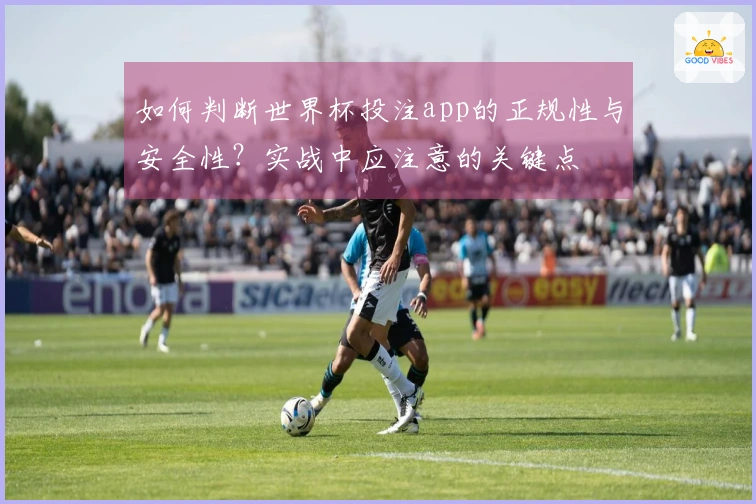 如何判断世界杯投注app的正规性与安全性？实战中应注意的关键点